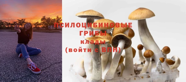 дмт Алзамай