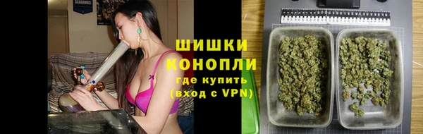 дмт Алзамай