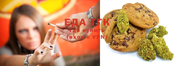 дмт Алзамай