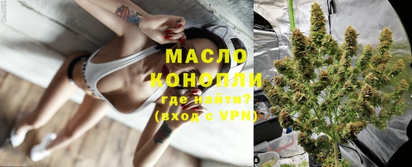 дмт Алзамай