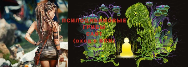 ПСИЛОЦИБИНОВЫЕ ГРИБЫ Алексин