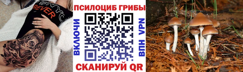 Псилоцибиновые грибы ЛСД Ачинск